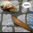 100083112073582_433764112737321_Αστεία εικόνα-Βουνα