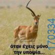 100083112073582_436128335834232_Αστεία εικόνα-Βουνα