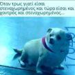100083112073582_436899622423770_Αστεία εικόνα-Βουνα