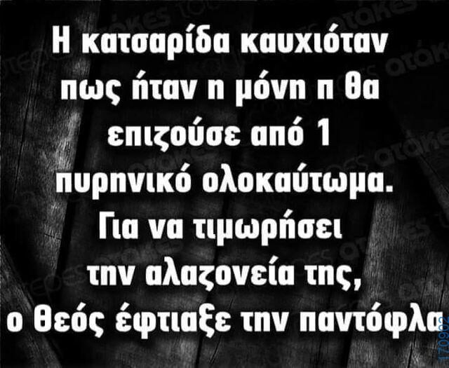 100083112073582_439936532120079_Αστεία εικόνα-Βουνα