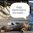 Αστεία εικόνα katharmata 2 – Ola rand FB 61553254332572_122143912292108477
