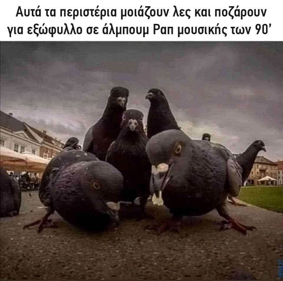 Αστεία εικόνα katharmata 2 – Ola rand FB 61553254332572_122141003846108477