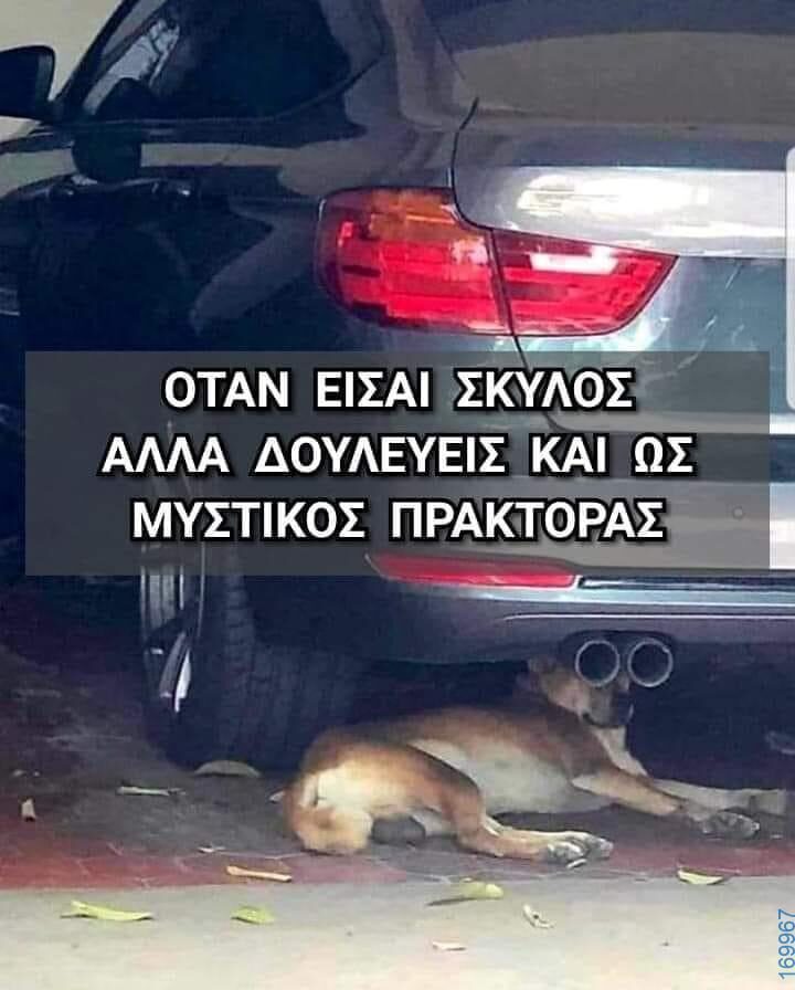 Αστεία εικόνα katharmata 2 – Ola rand FB 61553254332572_122141856236108477