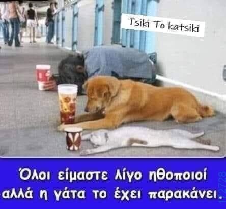 100050424252702_1068725731484892-Αστεία εικόνα-klaiwapotagelia