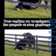 100050424252702_1070716327952499-Αστεία εικόνα-klaiwapotagelia