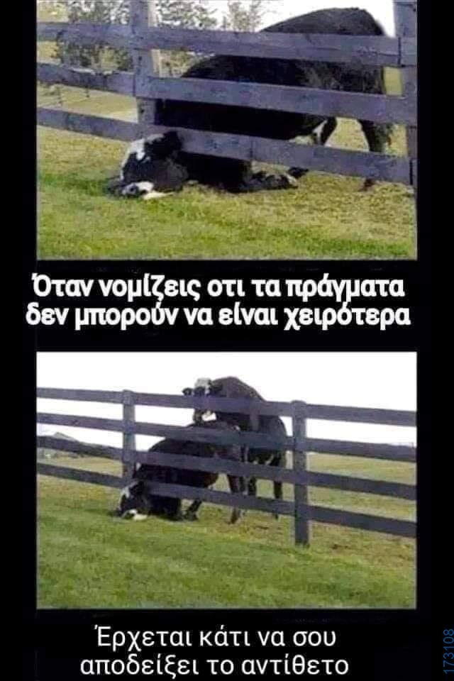 100050424252702_1070716327952499-Αστεία εικόνα-klaiwapotagelia