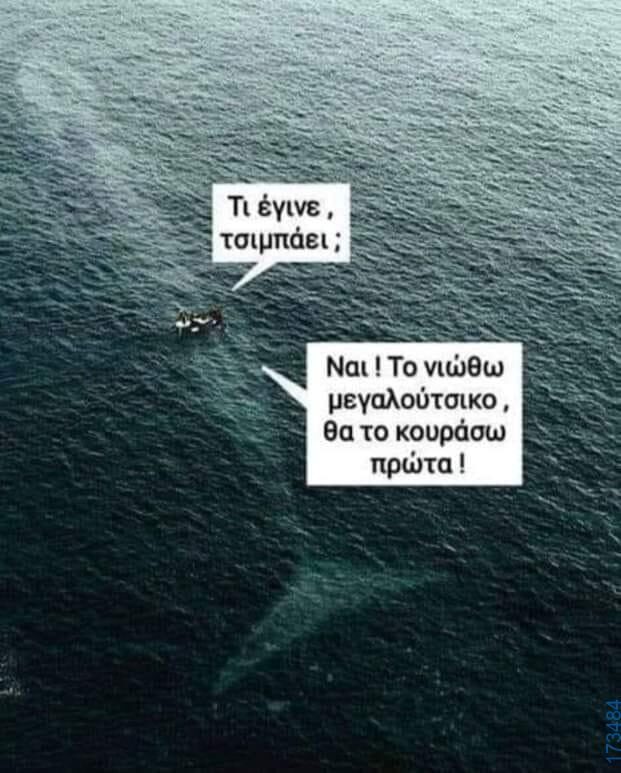 100050424252702_1074092080948257-Αστεία εικόνα-klaiwapotagelia