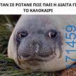 100054039829152_956625236148795-Αστεία εικόνα-oxarosss