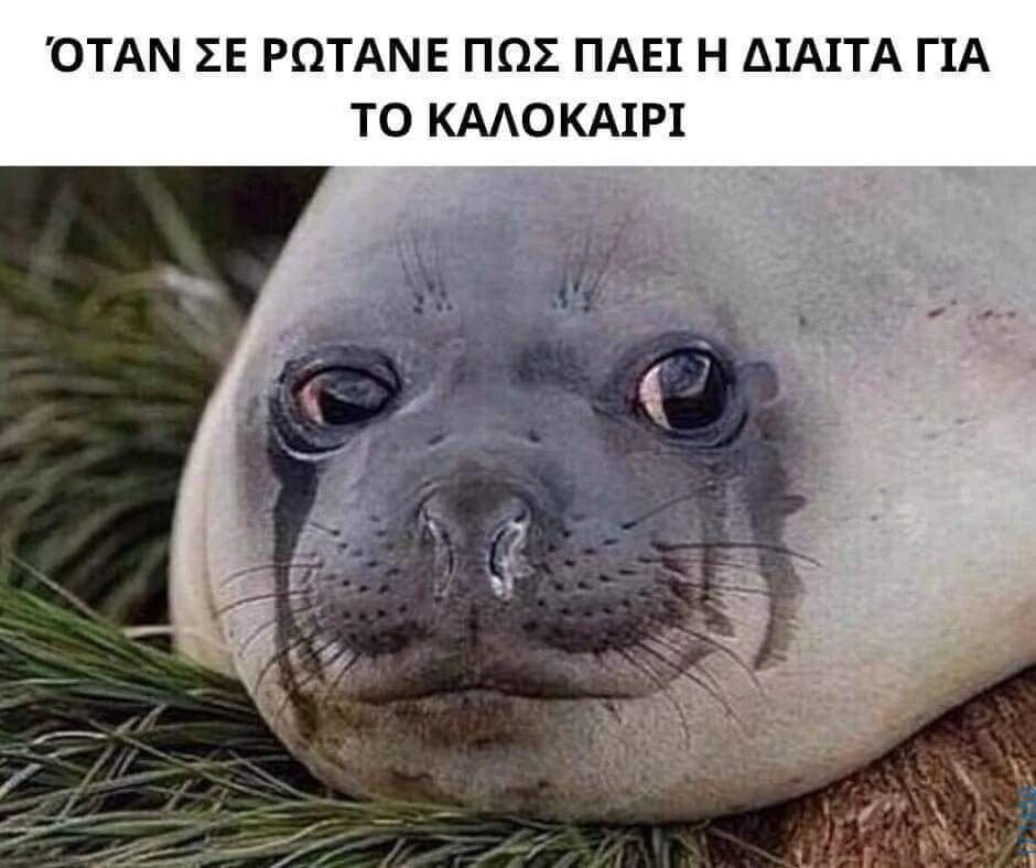 100054039829152_956625236148795-Αστεία εικόνα-oxarosss
