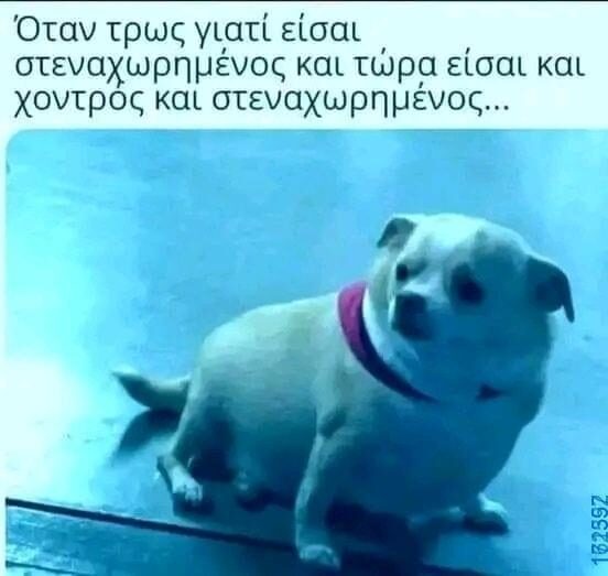 100054039829152_957461236065195-Αστεία εικόνα-oxarosss