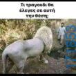 100054039829152_958575955953723-Αστεία εικόνα-oxarosss