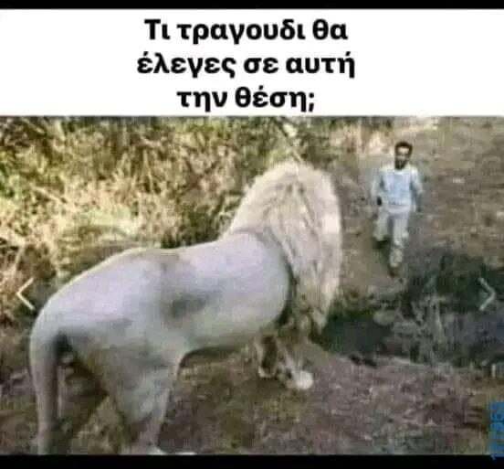 100054039829152_958575955953723-Αστεία εικόνα-oxarosss