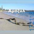 100054039829152_959809512497034-Αστεία εικόνα-oxarosss