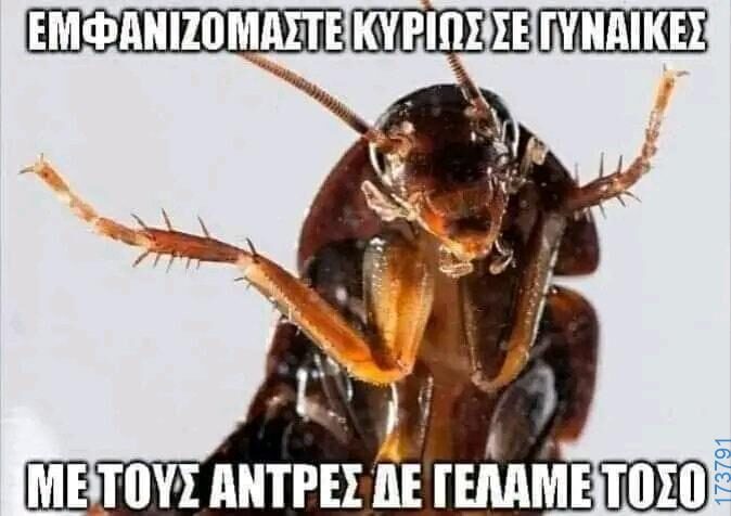 100054039829152_967538695057449-Αστεία εικόνα-oxarosss
