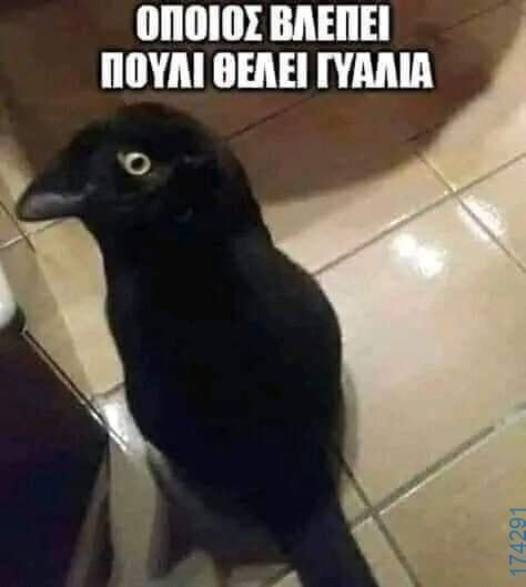 100054039829152_970198798124772-Αστεία εικόνα-oxarosss