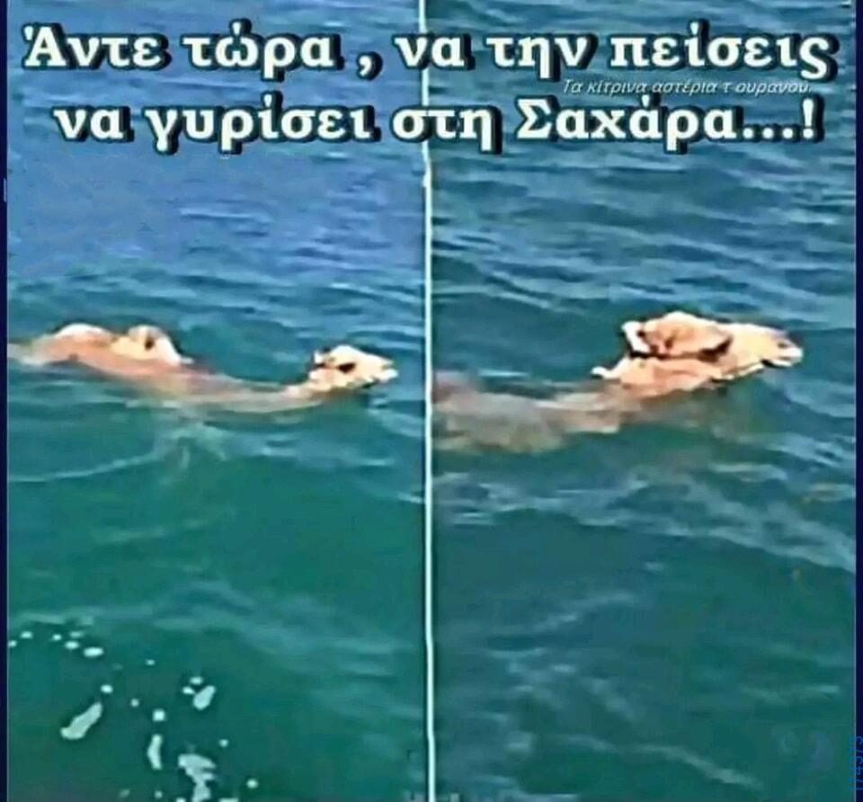 100054039829152_970692991408686-Αστεία εικόνα-oxarosss