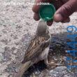 100054039829152_970793848065267-Αστεία εικόνα-oxarosss