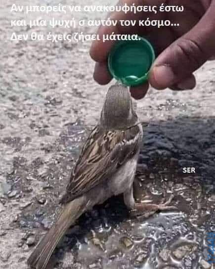 100054039829152_970793848065267-Αστεία εικόνα-oxarosss