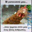 100066303475822_826365082916933-Αστεία εικόνα-kanelikegianablepistakalitera