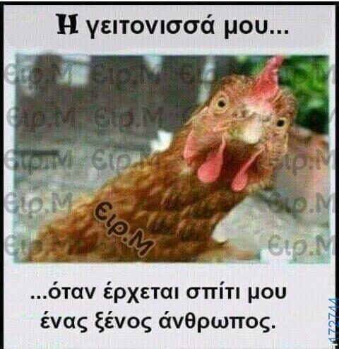 100066303475822_826365082916933-Αστεία εικόνα-kanelikegianablepistakalitera
