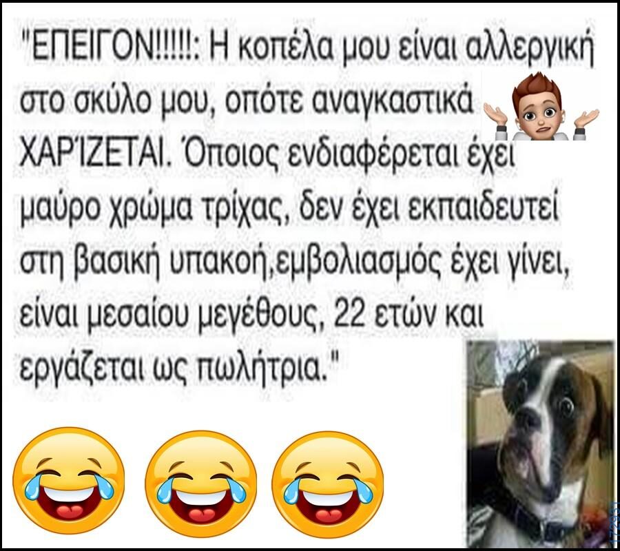 100066303475822_827348159485292-Αστεία εικόνα-kanelikegianablepistakalitera