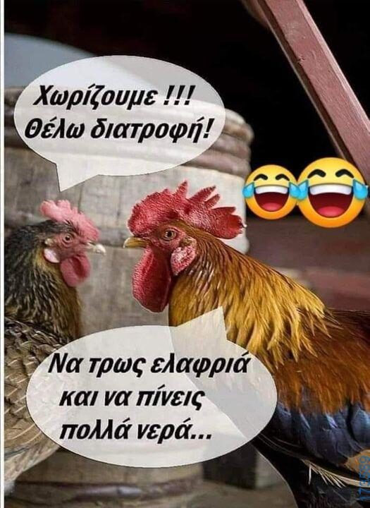 100066303475822_830928839127224-Αστεία εικόνα-kanelikegianablepistakalitera