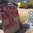 100066303475822_830986449121463-Αστεία εικόνα-kanelikegianablepistakalitera
