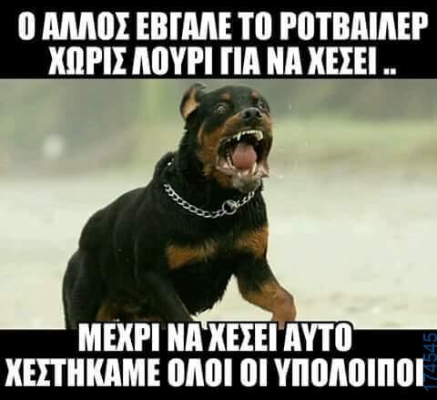 100066303475822_836526548567453-Αστεία εικόνα-kanelikegianablepistakalitera