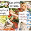 100083112073582_445846844862381_Αστεία εικόνα-Βουνα