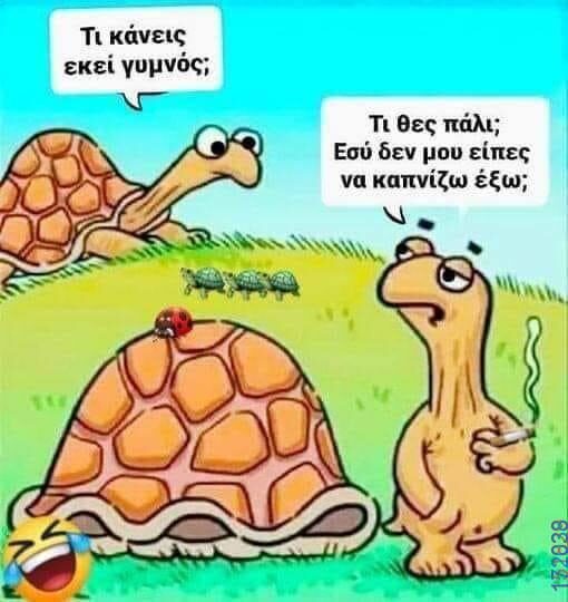 100083112073582_446220614825004_Αστεία εικόνα-Βουνα