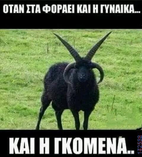 100083112073582_446689228111476_Αστεία εικόνα-Βουνα