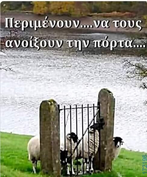 100083112073582_447130661400666_Αστεία εικόνα-Βουνα