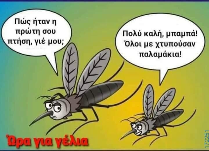 100083112073582_447195648060834_Αστεία εικόνα-Βουνα