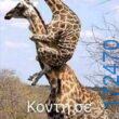 100083112073582_447963574650708_Αστεία εικόνα-Βουνα