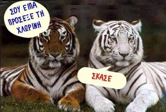 100083112073582_448324547947944_Αστεία εικόνα-Βουνα