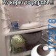 100083112073582_450452174401848_Αστεία εικόνα-Βουνα