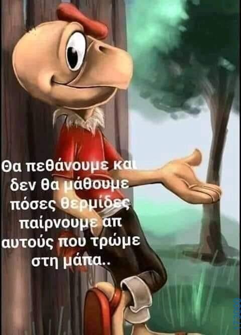 100083112073582_450771081036624_Αστεία εικόνα-Βουνα