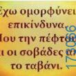 100083112073582_451014707678928_Αστεία εικόνα-Βουνα