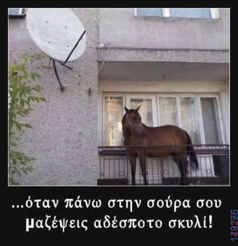 100083112073582_451998594247206_Αστεία εικόνα-Βουνα