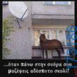 100083112073582_451998594247206_Αστεία εικόνα-Βουνα