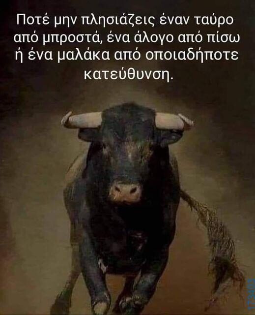 100083112073582_452975244149541_Αστεία εικόνα-Βουνα