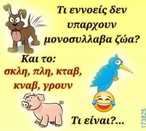 100083112073582_455714847208914_Αστεία εικόνα-Βουνα