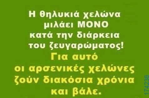 100083112073582_457655140348218_Αστεία εικόνα-Βουνα