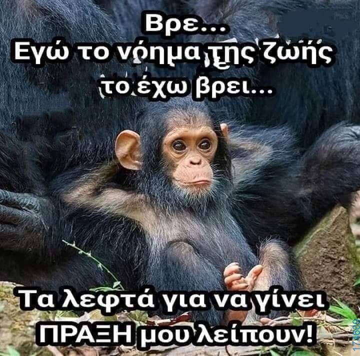 100083112073582_459797136800685_Αστεία εικόνα-Βουνα