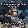 100083112073582_459797136800685_Αστεία εικόνα-Βουνα