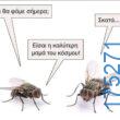 100054039829152_974722904339028-Αστεία εικόνα-oxarosss