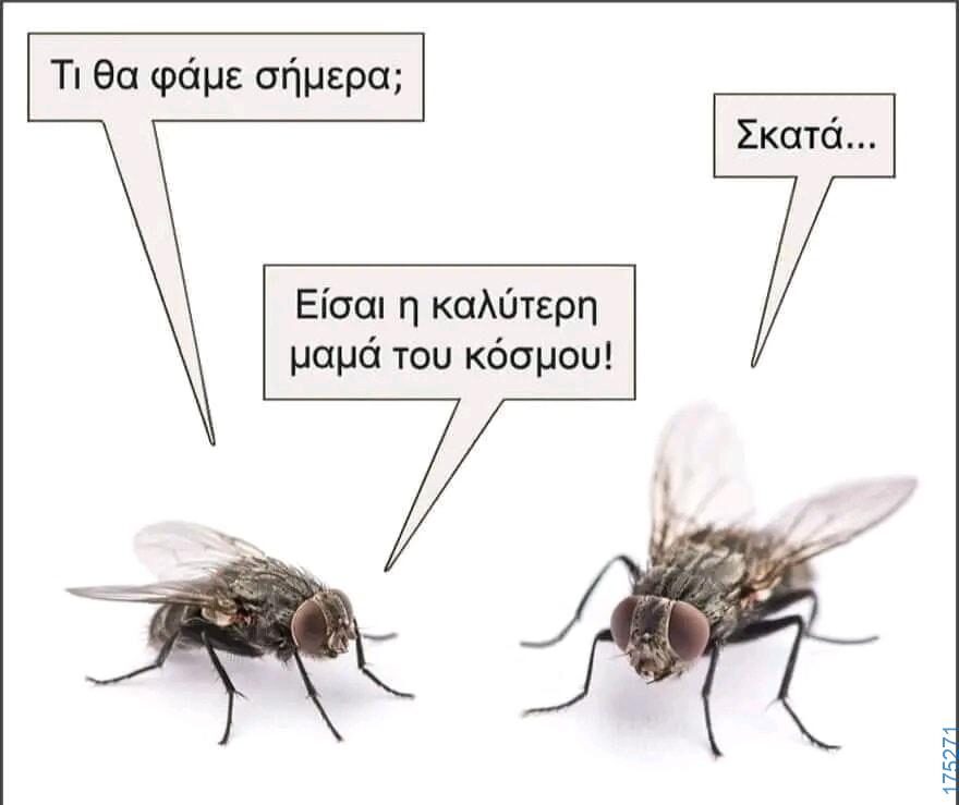 100054039829152_974722904339028-Αστεία εικόνα-oxarosss