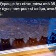 100054039829152_975467714264547-Αστεία εικόνα-oxarosss