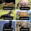 100054039829152_976143140863671-Αστεία εικόνα-oxarosss