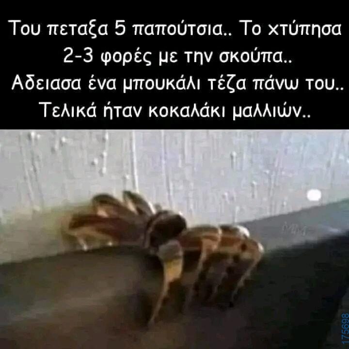 100054039829152_977790584032260-Αστεία εικόνα-oxarosss